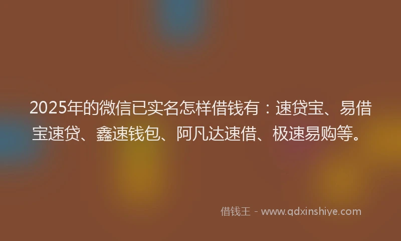 2025年的微信已实名怎样借钱有：速贷宝、易借宝速贷、鑫速钱包、阿凡达速借、极速易购等。