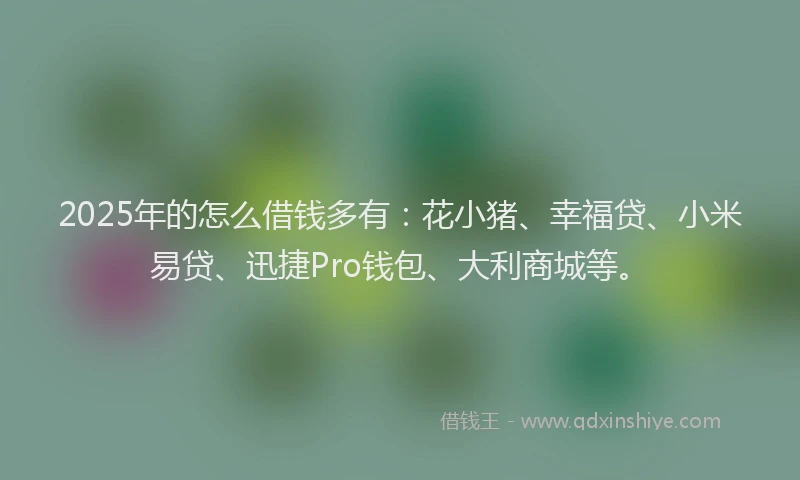 2025年的怎么借钱多有：花小猪、幸福贷、小米易贷、迅捷Pro钱包、大利商城等。
