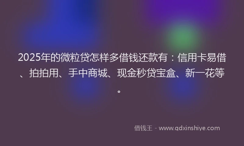 2025年的微粒贷怎样多借钱还款有：信用卡易借、拍拍用、手中商城、现金秒贷宝盒、新一花等。