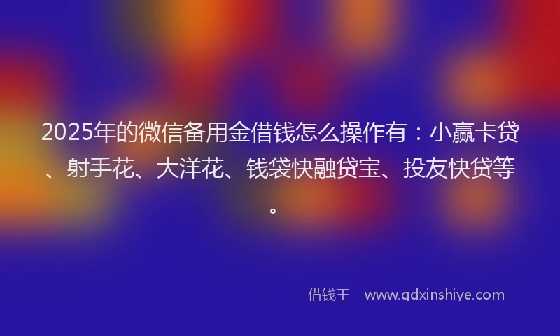 2025年的微信备用金借钱怎么操作有：小赢卡贷、射手花、大洋花、钱袋快融贷宝、投友快贷等。