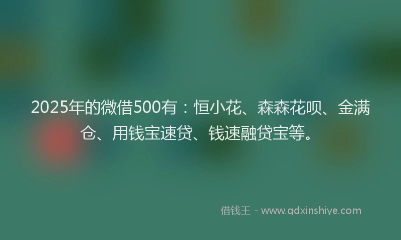 2025年的微借500有：恒小花、森森花呗、金满仓、用钱宝速贷、钱速融贷宝等。