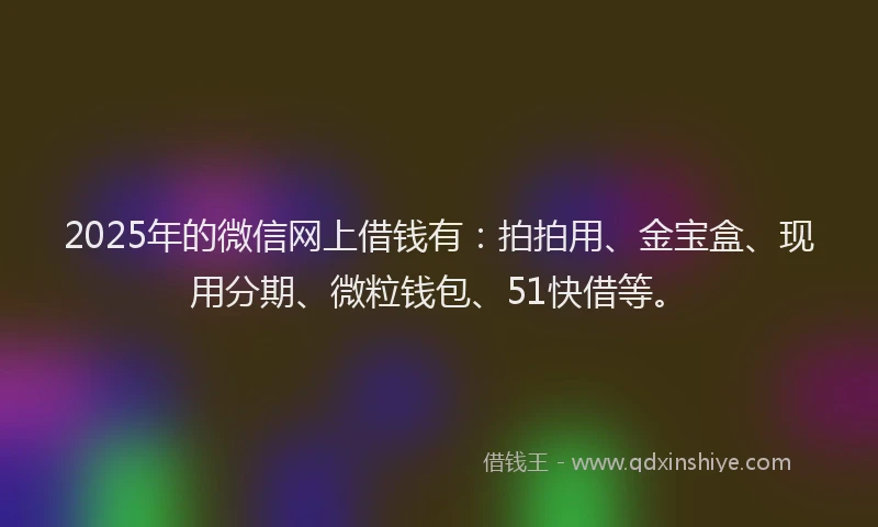 2025年的微信网上借钱有：拍拍用、金宝盒、现用分期、微粒钱包、51快借等。