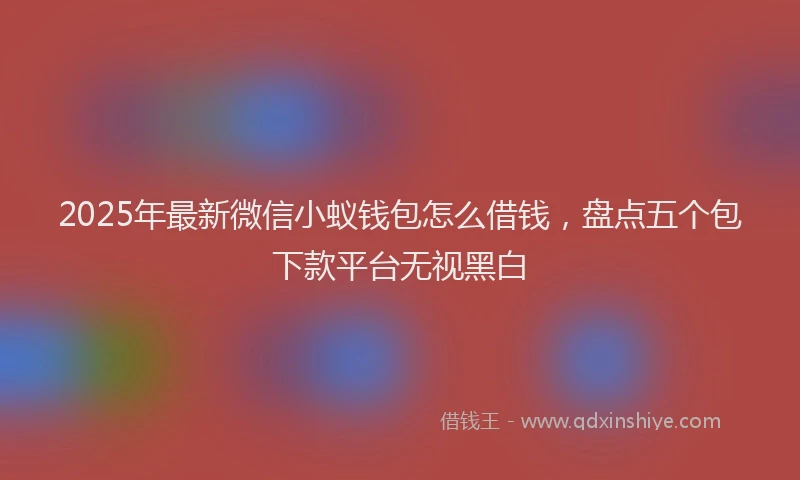 2025年最新微信小蚁钱包怎么借钱，盘点五个包下款平台无视黑白
