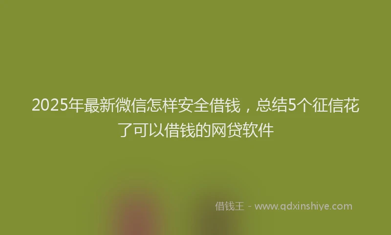 2025年最新微信怎样安全借钱，总结5个征信花了可以借钱的网贷软件