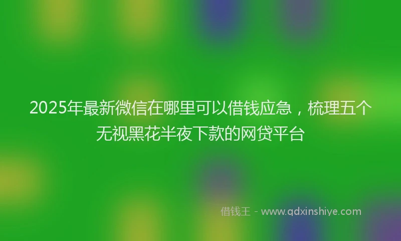 2025年最新微信在哪里可以借钱应急，梳理五个无视黑花半夜下款的网贷平台