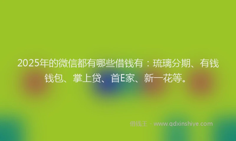 2025年的微信都有哪些借钱有：琉璃分期、有钱钱包、掌上贷、首E家、新一花等。