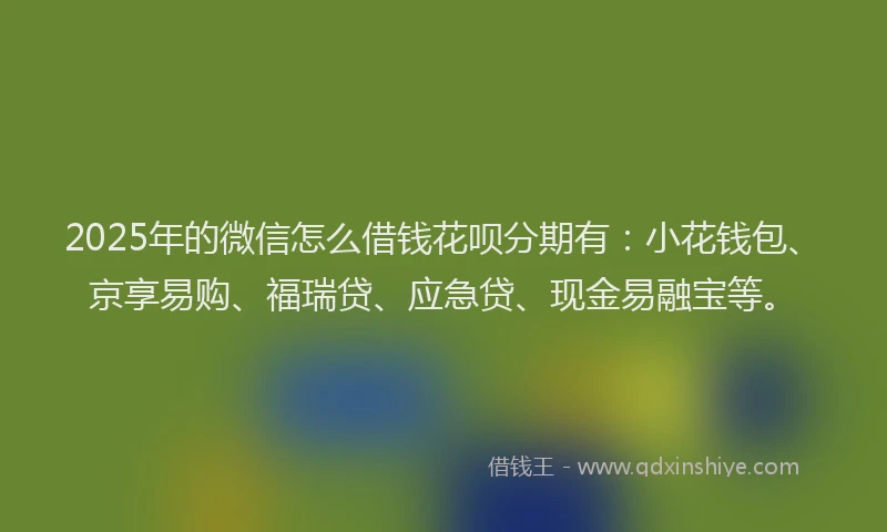 2025年的微信怎么借钱花呗分期有：小花钱包、京享易购、福瑞贷、应急贷、现金易融宝等。