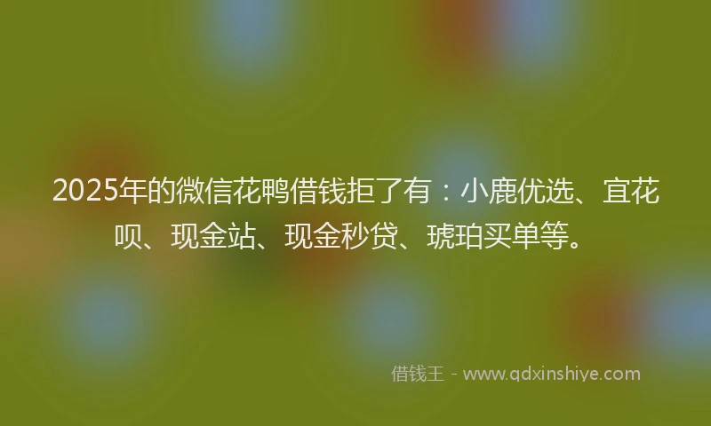 2025年的微信花鸭借钱拒了有：小鹿优选、宜花呗、现金站、现金秒贷、琥珀买单等。