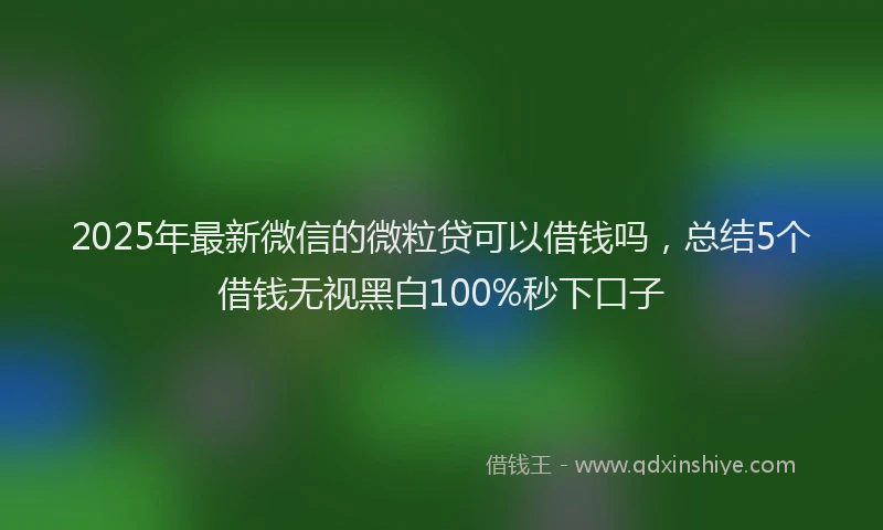 2025年最新微信的微粒贷可以借钱吗，总结5个借钱无视黑白100%秒下口子