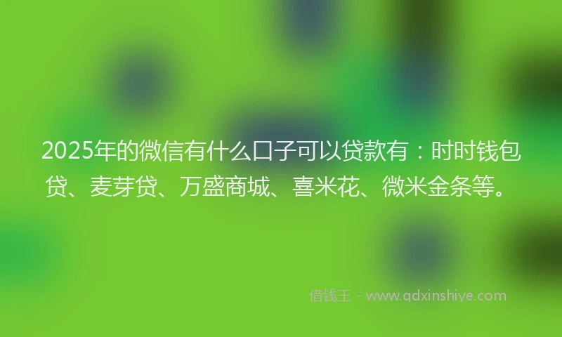 2025年的微信有什么口子可以贷款有：时时钱包贷、麦芽贷、万盛商城、喜米花、微米金条等。