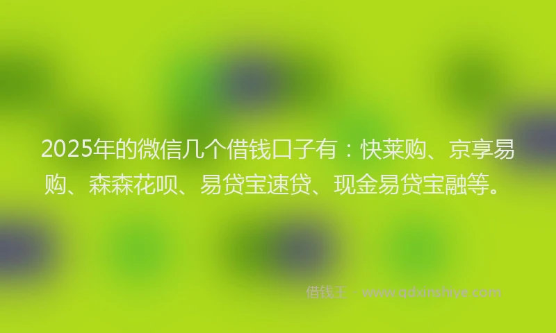 2025年的微信几个借钱口子有：快莱购、京享易购、森森花呗、易贷宝速贷、现金易贷宝融等。