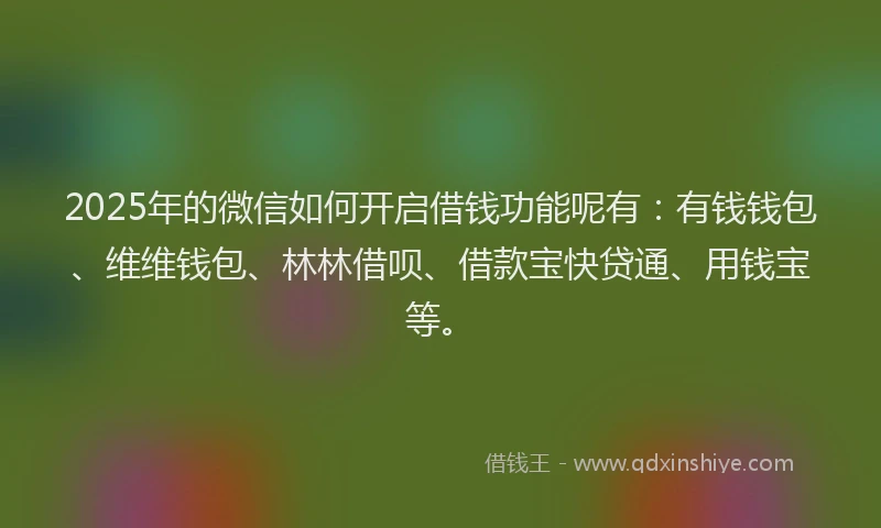 2025年的微信如何开启借钱功能呢有：有钱钱包、维维钱包、林林借呗、借款宝快贷通、用钱宝等。