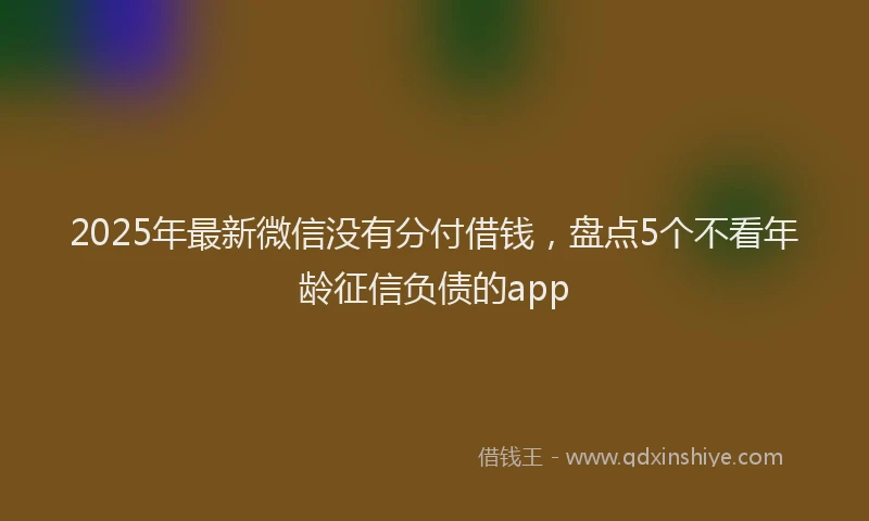 2025年最新微信没有分付借钱，盘点5个不看年龄征信负债的app