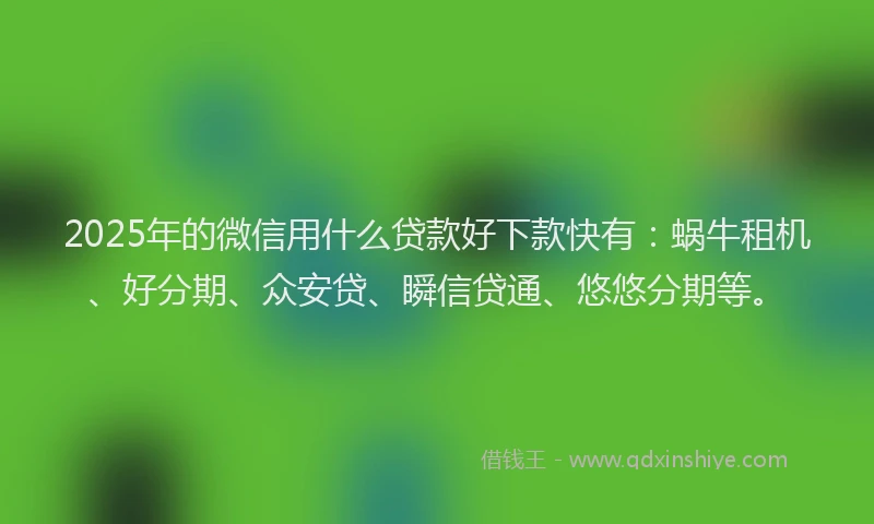 2025年的微信用什么贷款好下款快有：蜗牛租机、好分期、众安贷、瞬信贷通、悠悠分期等。