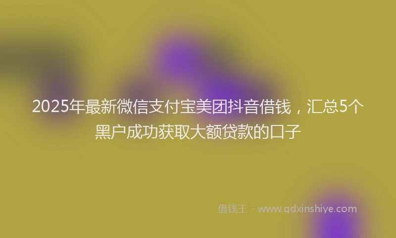 2025年最新微信支付宝美团抖音借钱，汇总5个黑户成功获取大额贷款的口子