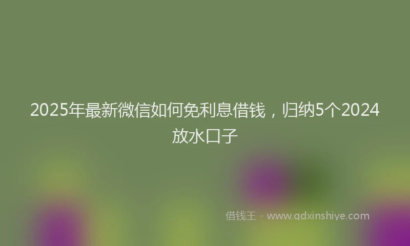 2025年最新微信如何免利息借钱，归纳5个2024放水口子