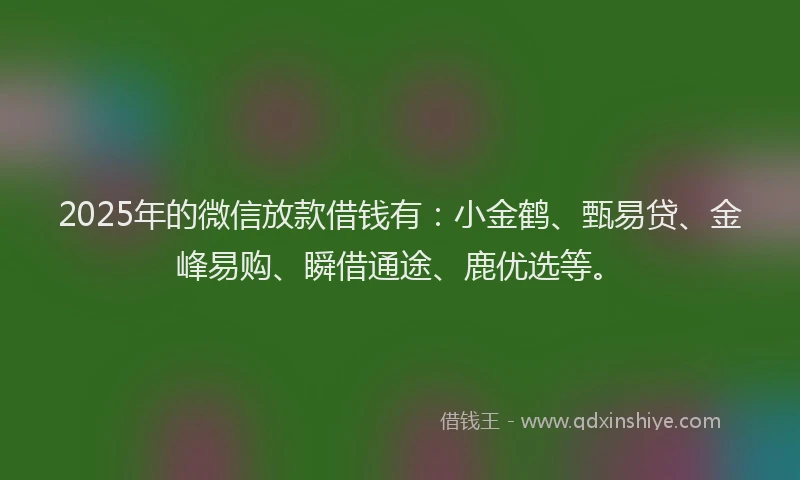 2025年的微信放款借钱有：小金鹤、甄易贷、金峰易购、瞬借通途、鹿优选等。