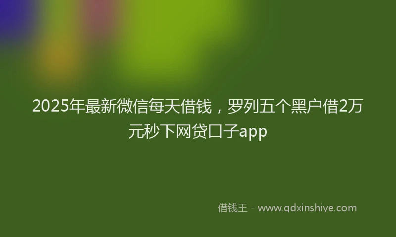 2025年最新微信每天借钱，罗列五个黑户借2万元秒下网贷口子app