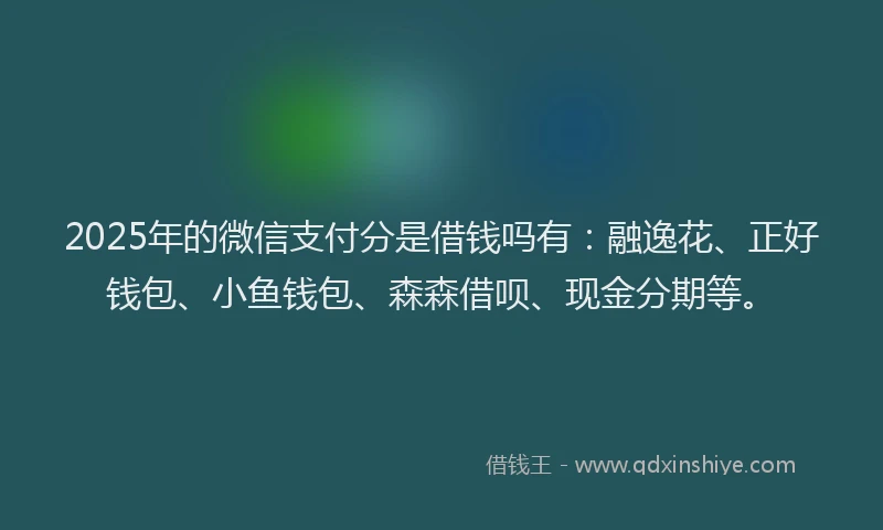 2025年的微信支付分是借钱吗有：融逸花、正好钱包、小鱼钱包、森森借呗、现金分期等。