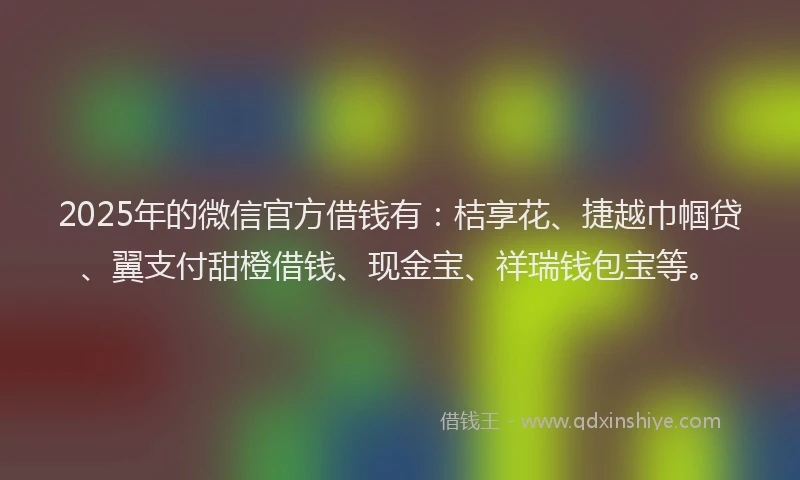2025年的微信官方借钱有：桔享花、捷越巾帼贷、翼支付甜橙借钱、现金宝、祥瑞钱包宝等。