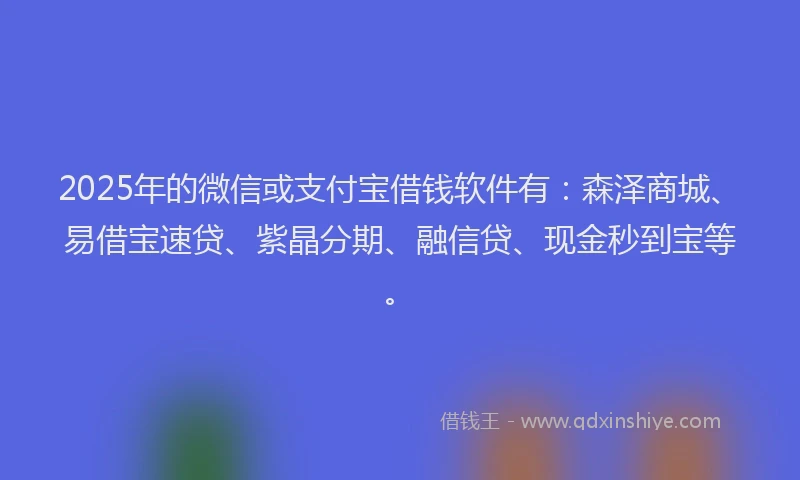 2025年的微信或支付宝借钱软件有：森泽商城、易借宝速贷、紫晶分期、融信贷、现金秒到宝等。