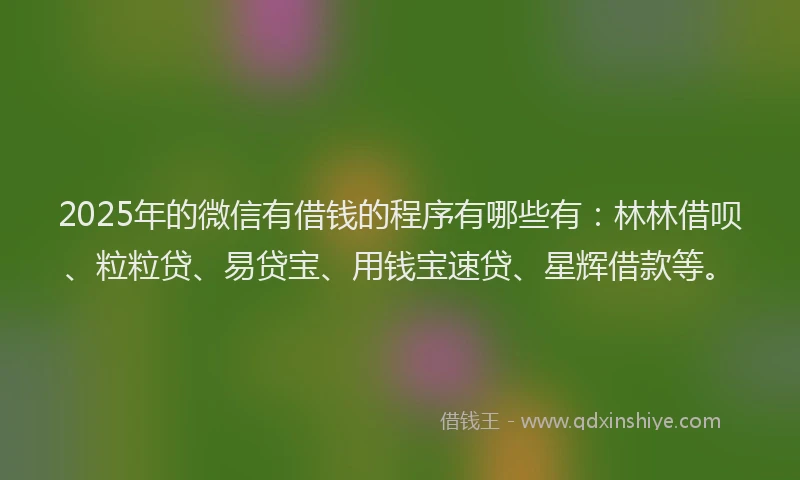 2025年的微信有借钱的程序有哪些有：林林借呗、粒粒贷、易贷宝、用钱宝速贷、星辉借款等。