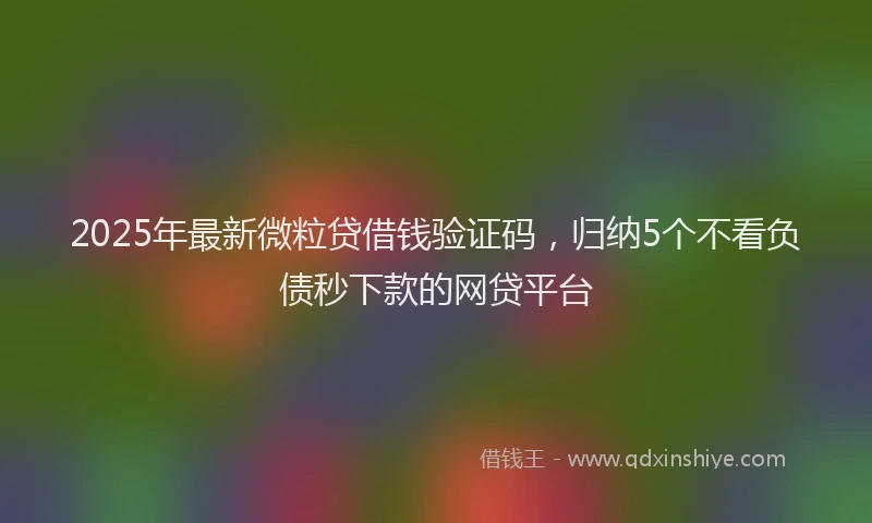2025年最新微粒贷借钱验证码，归纳5个不看负债秒下款的网贷平台