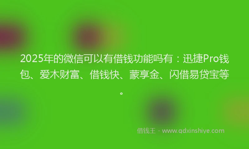 2025年的微信可以有借钱功能吗有：迅捷Pro钱包、爱木财富、借钱快、蒙享金、闪借易贷宝等。