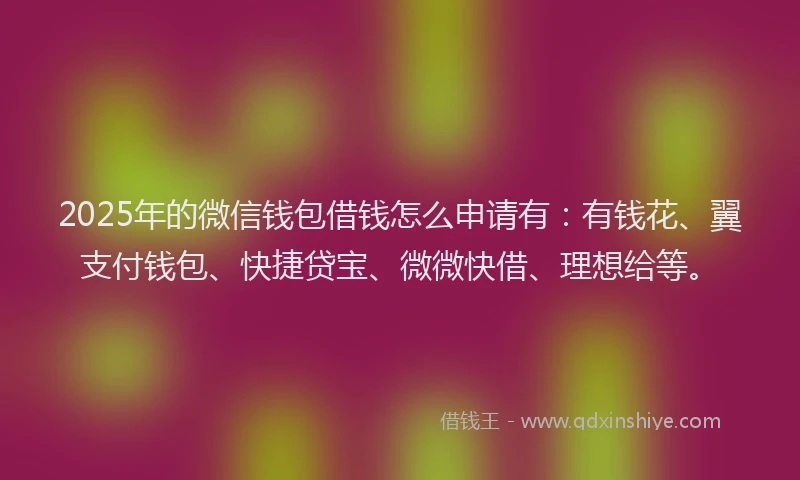 2025年的微信钱包借钱怎么申请有：有钱花、翼支付钱包、快捷贷宝、微微快借、理想给等。