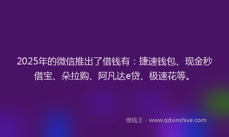 2025年的微信推出了借钱有：捷速钱包、现金秒借宝、朵拉购、阿凡达e贷、极速花等。