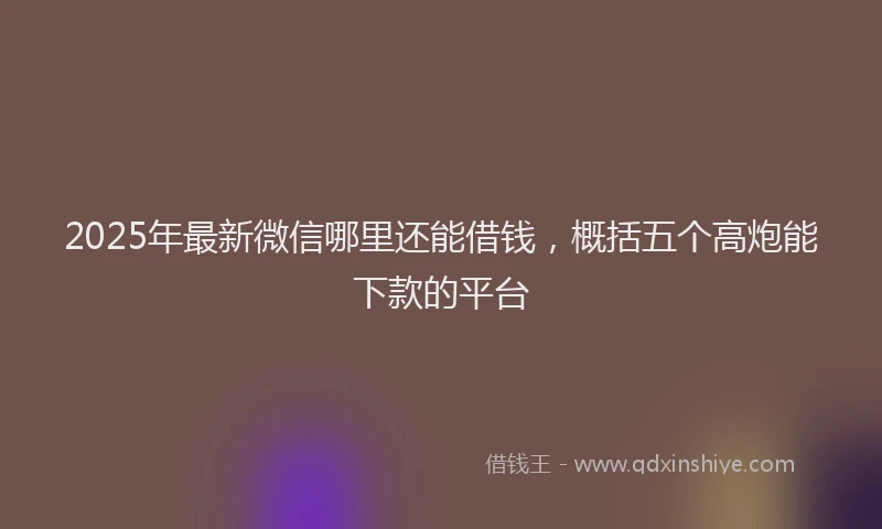 2025年最新微信哪里还能借钱，概括五个高炮能下款的平台
