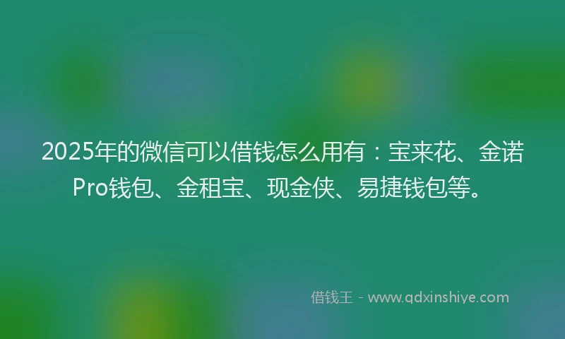 2025年的微信可以借钱怎么用有：宝来花、金诺Pro钱包、金租宝、现金侠、易捷钱包等。