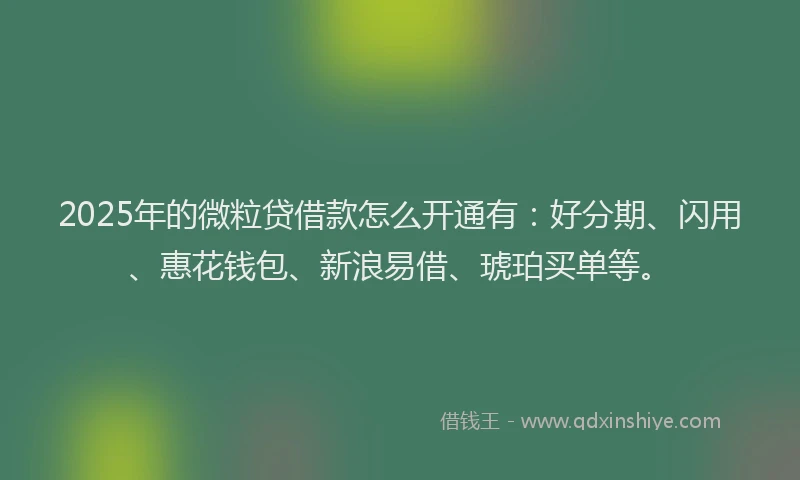 2025年的微粒贷借款怎么开通有：好分期、闪用、惠花钱包、新浪易借、琥珀买单等。