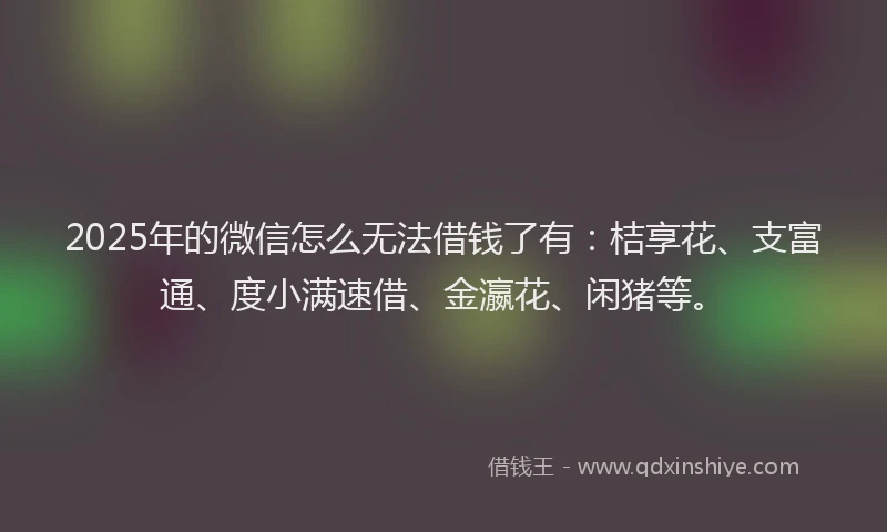 2025年的微信怎么无法借钱了有：桔享花、支富通、度小满速借、金瀛花、闲猪等。