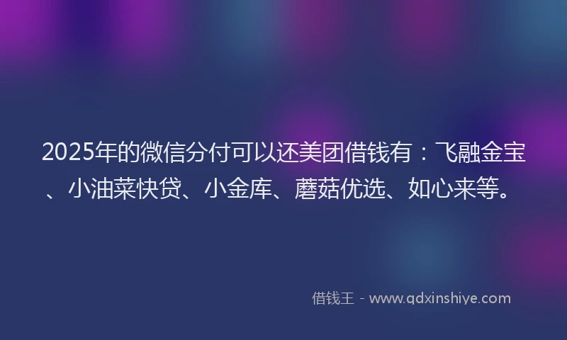 2025年的微信分付可以还美团借钱有：飞融金宝、小油菜快贷、小金库、蘑菇优选、如心来等。