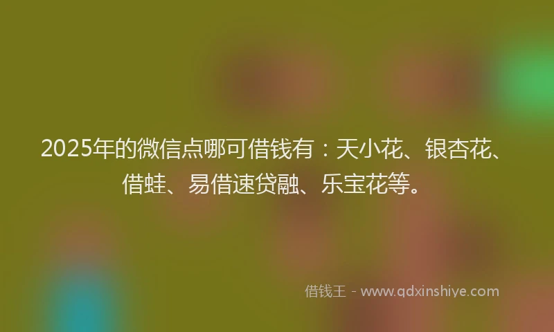 2025年的微信点哪可借钱有：天小花、银杏花、借蛙、易借速贷融、乐宝花等。