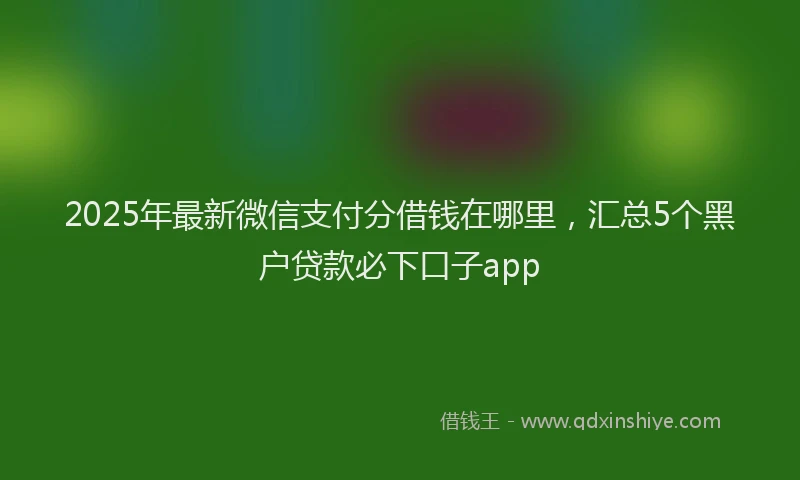 2025年最新微信支付分借钱在哪里，汇总5个黑户贷款必下口子app