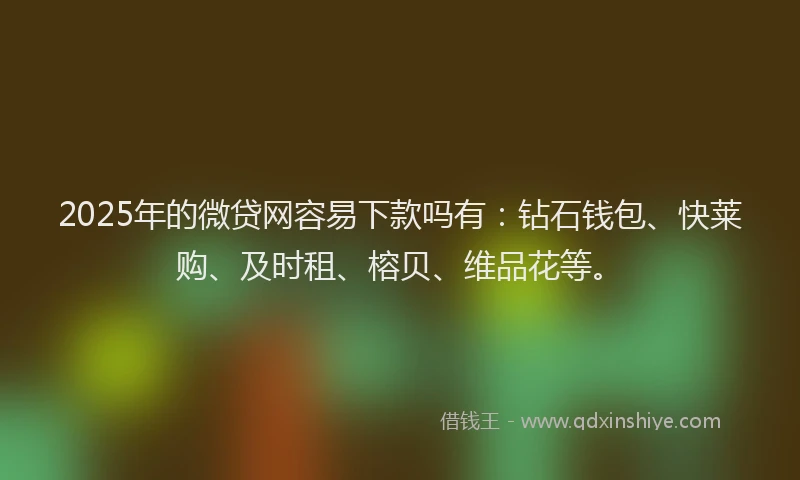 2025年的微贷网容易下款吗有:钻石钱包、快莱购、及时租、榕贝、维品花等。
