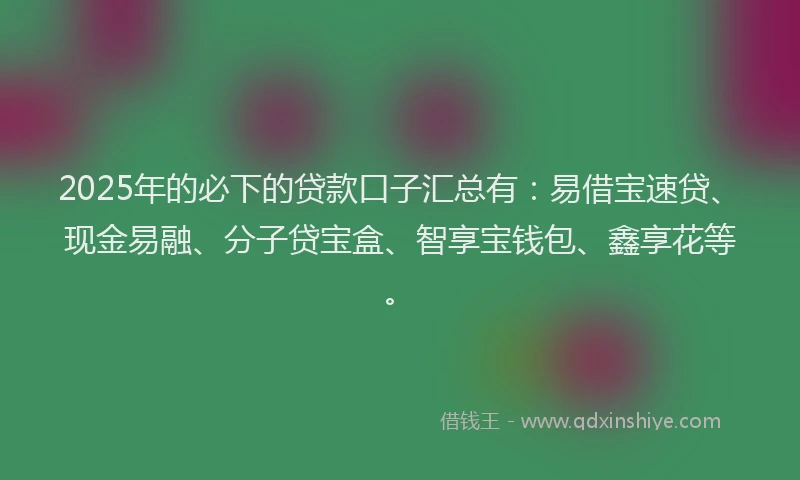 2025年的必下的贷款口子汇总有：易借宝速贷、现金易融、分子贷宝盒、智享宝钱包、鑫享花等。