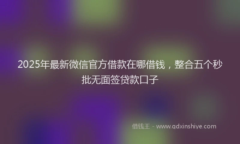 2025年最新微信官方借款在哪借钱，整合五个秒批无面签贷款口子