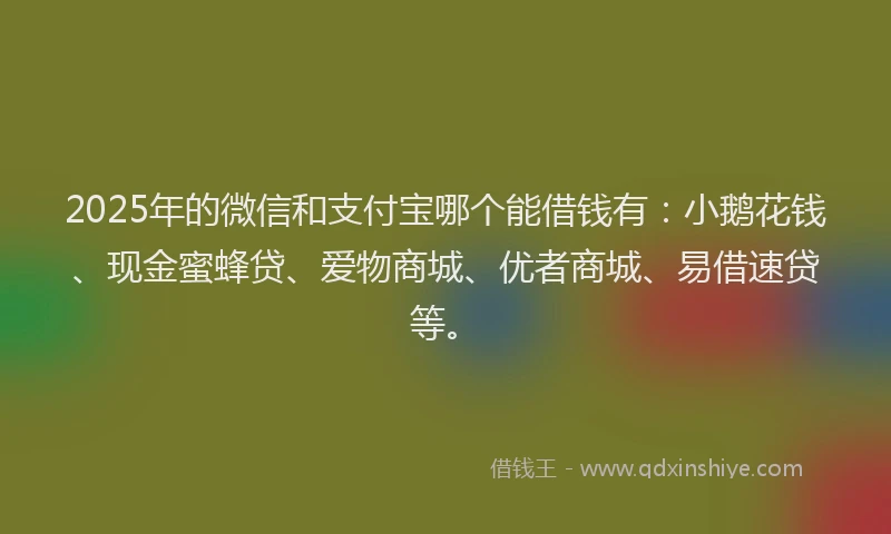 2025年的微信和支付宝哪个能借钱有：小鹅花钱、现金蜜蜂贷、爱物商城、优者商城、易借速贷等。