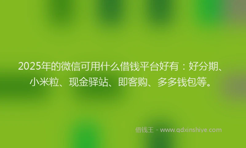 2025年的微信可用什么借钱平台好有：好分期、小米粒、现金驿站、即客购、多多钱包等。