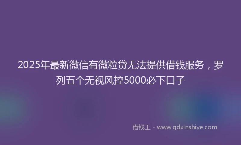 2025年最新微信有微粒贷无法提供借钱服务，罗列五个无视风控5000必下口子