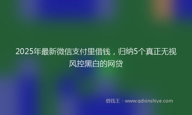 2025年最新微信支付里借钱，归纳5个真正无视风控黑白的网贷