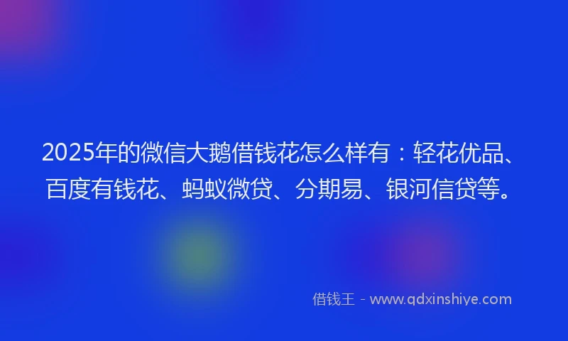 2025年的微信大鹅借钱花怎么样有：轻花优品、百度有钱花、蚂蚁微贷、分期易、银河信贷等。