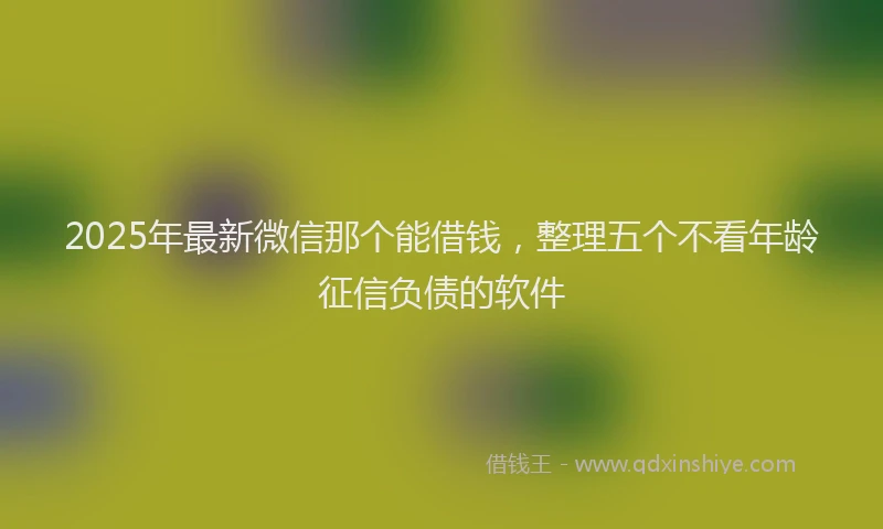 2025年最新微信那个能借钱，整理五个不看年龄征信负债的软件