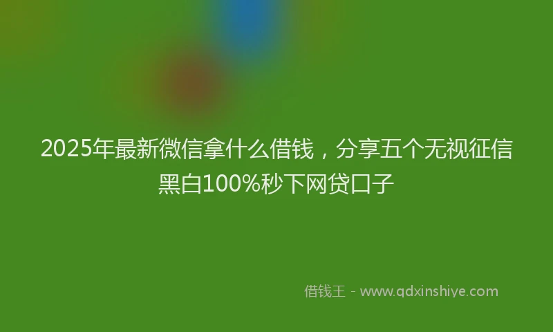 2025年最新微信拿什么借钱，分享五个无视征信黑白100%秒下网贷口子