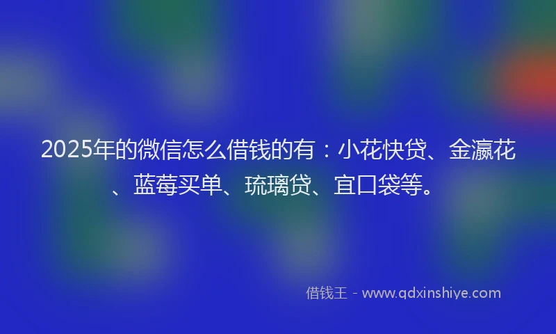 2025年的微信怎么借钱的有：小花快贷、金瀛花、蓝莓买单、琉璃贷、宜口袋等。