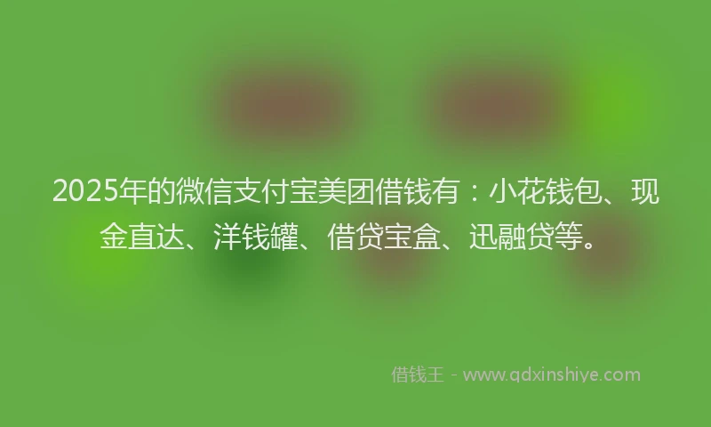 2025年的微信支付宝美团借钱有：小花钱包、现金直达、洋钱罐、借贷宝盒、迅融贷等。