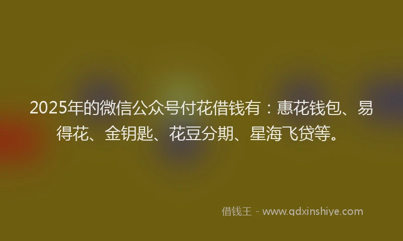 2025年的微信公众号付花借钱有：惠花钱包、易得花、金钥匙、花豆分期、星海飞贷等。